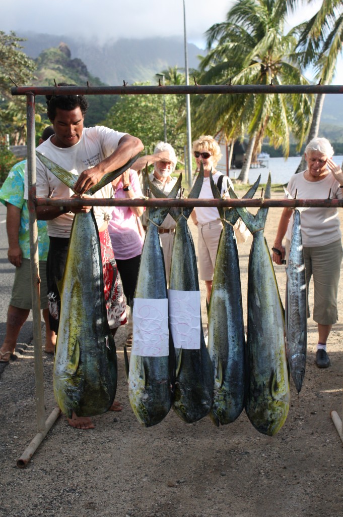 cronicas viajeras peces mahi moorea 