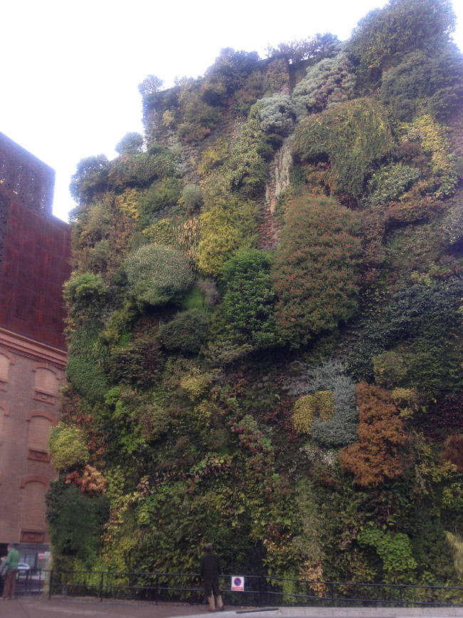 Jardín vertical frente al Caixaforum de Madrid