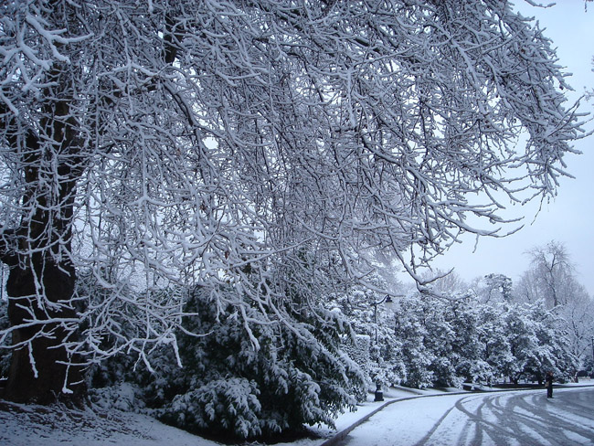 Parque del Retiro durante la nevada de 2005